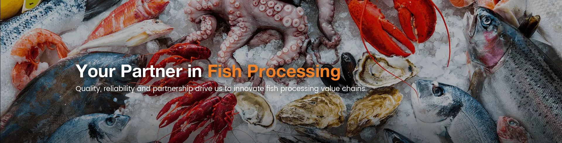 Процесс классификации устриц