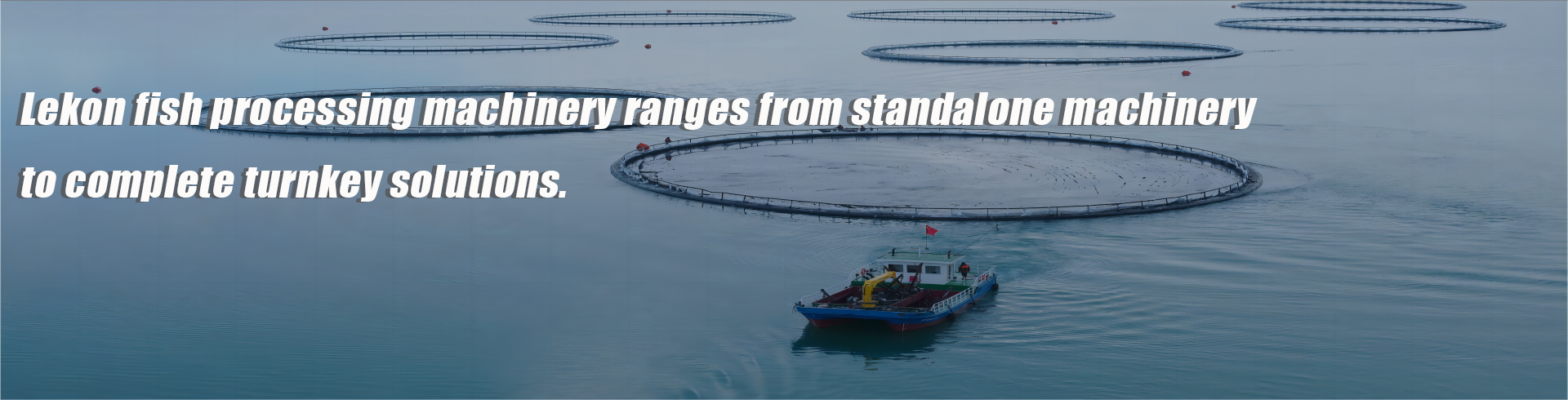 Первичная переработка рыбы